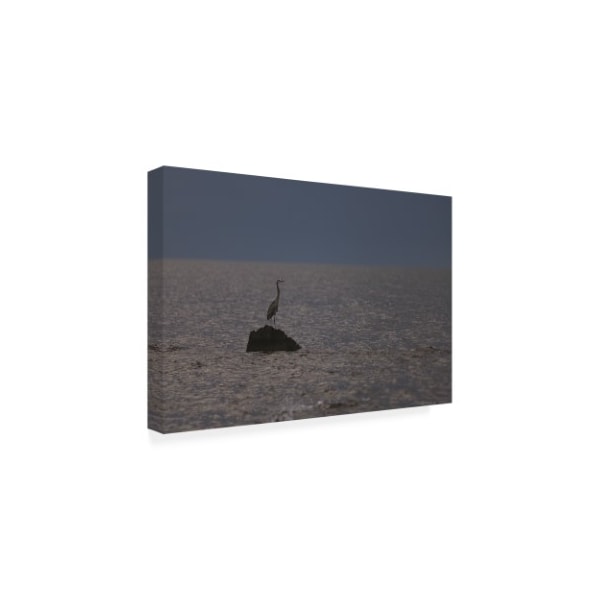 Kurt Shaffer Photographs 'Great Blue Heron On A Great Blue Lake' Canvas Art,16x24